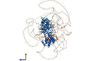 Protein Structure (PS) image for Rap Guanine Nucleotide Exchange Factor (GEF) 2 (RAPGEF2) (AA 1-1499) protein (His tag) (ABIN7555259)
