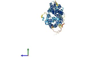 Protein Structure (PS) image for Solute Carrier Family 2 (Facilitated Glucose Transporter) Member 8 (SLC2A8) (AA 1-477) protein (His tag) (ABIN7561543)