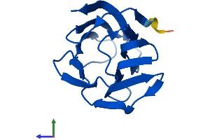 AlphaFold protein structure predicition of Mouse Recombinant Lgals2 Protein, UniprotID Q9CQW5