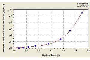 SERPINB5 ELISA 试剂盒