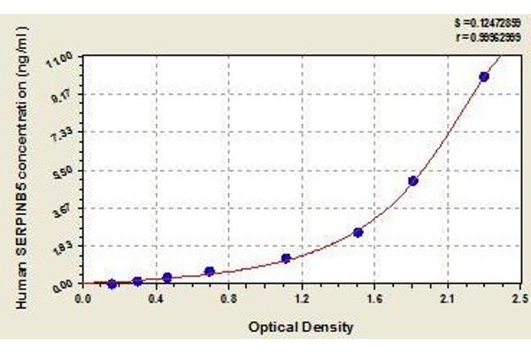 SERPINB5 ELISA 试剂盒
