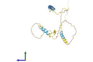 Protein Structure (PS) image for BCL2/adenovirus E1B 19kDa Interacting Protein 3-Like (BNIP3L) (AA 1-218) protein (His tag) (ABIN7556428)