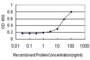 Detection limit for recombinant GST tagged SMAD1 is approximately 1ng/ml as a capture antibody. (SMAD1 抗体  (AA 1-465))