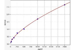 Cytokeratin Fragment Antigen 21-1 (CYFRA21.1) ELISA Kit