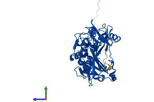 AlphaFold protein structure predicition of Human Recombinant BCAT1 Protein, UniprotID P54687 (BCAT1 Protein (AA 1-386) (His tag))