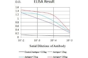 Black line: Control Antigen (100 ng),Purple line: Antigen (10 ng), Blue line: Antigen (50 ng), Red line:Antigen (100 ng) (DCL1 抗体  (AA 23-168))