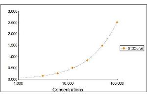 Standard Curve Graph (Lactoferrin ELISA 试剂盒)