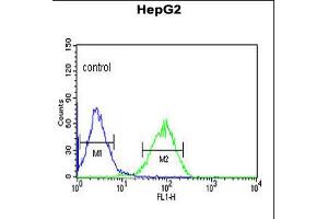 Flow cytometric analysis of HepG2 cells (right histogram) compared to a negative control cell (left histogram). (NR5A1 抗体  (N-Term))