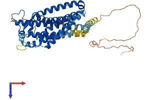 Prostaglandin D2 Receptor 2 (PTGDR2) (AA 1-395) protein (His tag)