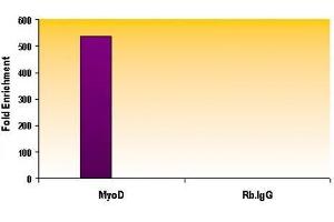 Histone H3K27me1 antibody (mAb) tested by ChIP.