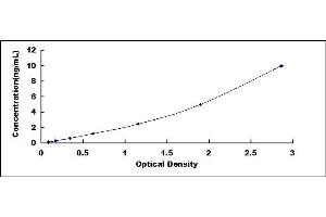 Typical standard curve (SKP2 ELISA 试剂盒)