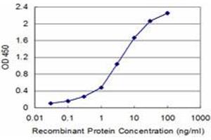 Detection limit for recombinant GST tagged FXN is approximately 0. (Frataxin 抗体  (AA 91-200))