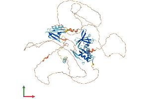 AlphaFold protein structure predicition of Mouse Recombinant Dvl1 Protein, UniprotID P51141