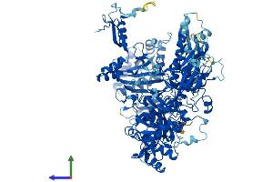 Protein Structure (PS) image for Polymerase (RNA) I Polypeptide B, 128kDa (POLR1B) (AA 1-1135) protein (His tag) (ABIN7555258)