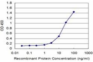 Detection limit for recombinant GST tagged SNCB is approximately 1ng/ml as a capture antibody. (beta Synuclein 抗体  (AA 1-65))