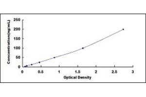 Typical standard curve (Lactate Dehydrogenase C ELISA 试剂盒)