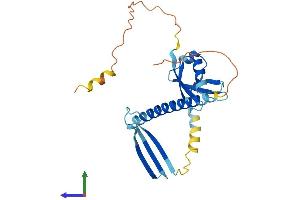 Protein Structure (PS) image for Cell Death-Inducing DFFA-Like Effector C (CIDEC) (AA 1-239) protein (His tag) (ABIN7563455)