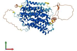 Protein Structure (PS) image for Solute Carrier Family 5 (Sodium/iodide Cotransporter), Member 5 (SLC5A5) (AA 1-643) protein (His tag) (ABIN7545962)