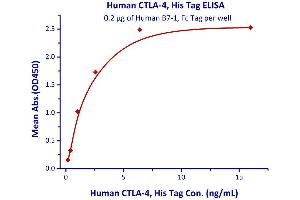 Binding Studies (Bind) image for Cytotoxic T-Lymphocyte-Associated Protein 4 (CTLA4) (AA 37-162) (Active) protein (His tag) (ABIN2487344)