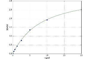 A typical standard curve (CKB ELISA 试剂盒)
