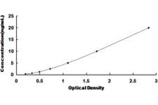 Septin 3 ELISA 试剂盒