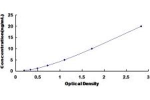 Typical standard curve (Septin 3 ELISA 试剂盒)