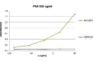 ELISA detection of PSA with anti-human PSA (A67-B/E3) biotin. (Prostate Specific Antigen 抗体  (Biotin))
