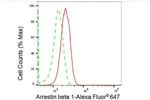 Flow cytometric analysis of Arrestin beta 1 expression in HepG2 cells using Arrestin beta 1 antibody (ABIN7797653), 1:2,000). (Recombinant beta Arrestin 1 抗体)