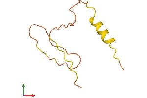 Protein Structure (PS) image for SNRPN Upstream Reading Frame (SNURF) (AA 1-71) protein (Fc Tag) (ABIN7546072)