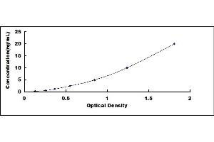 Typical standard curve (CYP1A1 ELISA 试剂盒)
