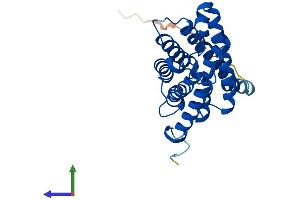 Protein Structure (PS) image for Aquaporin 8 (AQP8) (AA 1-261) protein (His tag) (ABIN7556475)