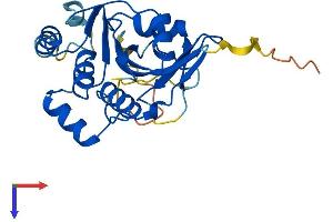AlphaFold protein structure predicition of Human Recombinant GUCD1 Protein, UniprotID Q96NT3