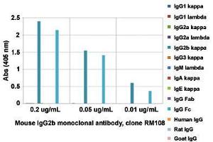 ELISA analysis of Mouse IgG2b monoclonal antibody, clone RM108  at the following concentrations: 0.