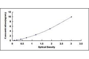 Typical standard curve (RACGAP1 ELISA 试剂盒)