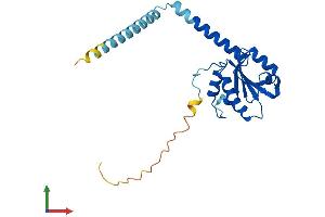 AlphaFold protein structure predicition of Mouse Recombinant Txndc9 Protein, UniprotID Q9CQ79