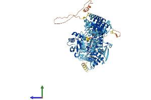 Protein Structure (PS) image for HECT Domain and Ankyrin Repeat Containing, E3 Ubiquitin Protein Ligase 1 (HACE1) (AA 1-909) protein (His tag) (ABIN7563689)