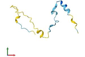 Protein Structure (PS) image for Calcium/calmodulin-Dependent Protein Kinase II Inhibitor 2 (CAMK2N2) (AA 1-79) protein (Fc Tag) (ABIN7558180)