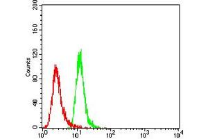 Flow cytometric analysis of Hela cells using TBC1D4 mouse mAb (green) and negative control (red). (TBC1D4 抗体  (AA 574-712))