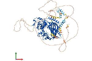 Protein Structure (PS) image for Polymerase (DNA Directed) kappa (POLK) (AA 1-852) protein (His tag) (ABIN7565125)