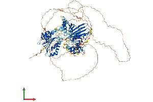Protein Structure (PS) image for Microtubule-Associated Protein 1S (MAP1S) (AA 1-973) protein (His tag) (ABIN7564482)