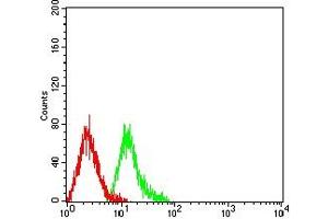 Flow Cytometry (FACS) image for anti-Tripartite Motif Containing 29 (TRIM29) (AA 451-588) antibody (ABIN7193219)