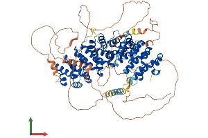 Protein Structure (PS) image for Plakophilin 3 (PKP3) (AA 1-797) protein (His tag) (ABIN7561774)