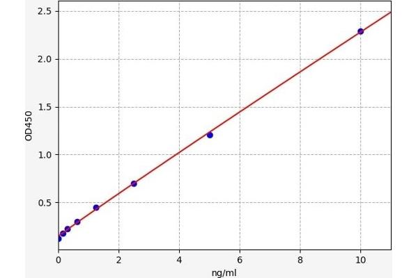 CD45 ELISA 试剂盒