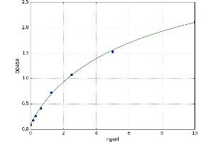 Calpastatin (CAST) ELISA Kit