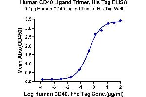 ELISA image for CD40 Ligand (CD40LG) (AA 113-261), (Trimer) protein (His-DYKDDDDK Tag) (ABIN7274318)