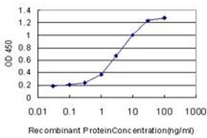 Detection limit for recombinant GST tagged ARNT is approximately 0. (ARNT 抗体  (AA 1-110))