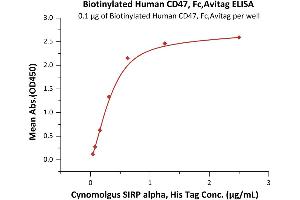 CD47 (CD47) (AA 19-139) (Active) protein (Fc Tag,AVI tag,Biotin)