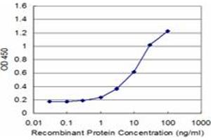 Detection limit for recombinant GST tagged PURA is approximately 1ng/ml as a capture antibody. (PURA 抗体  (AA 183-292))