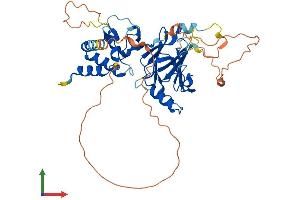 Protein Structure (PS) image for SMAD, Mothers Against DPP Homolog 7 (SMAD7) (AA 1-426) protein (His tag) (ABIN7555498)