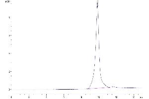 Size-exclusion chromatography-High Pressure Liquid Chromatography (SEC-HPLC) image for Interleukin 20 (IL20) (AA 25-176) protein (His tag) (ABIN7274930)